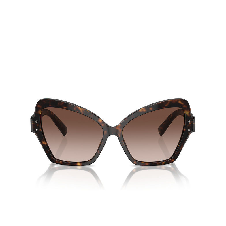 Gafas de sol Dolce & Gabbana DG4463 502/13 havana - 1/4