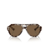 Lunettes de soleil Dolce & Gabbana DG4466 343473 havana beige - Vignette du produit 1/4