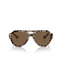 Gafas de sol Dolce & Gabbana DG4466 343473 havana beige