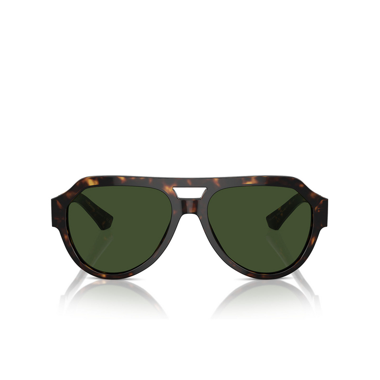 Gafas de sol Dolce & Gabbana DG4466 502/71 havana - 1/4