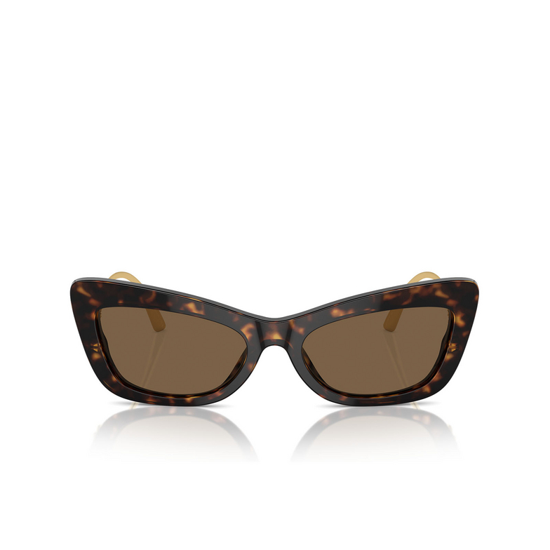 Dolce & Gabbana DG4467B Sunglasses 502/73 havana - 1/4