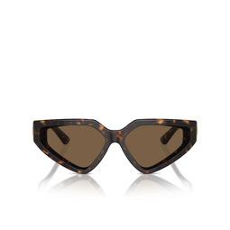 Lunettes de soleil Dolce & Gabbana DG4469 502/73 havana