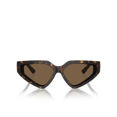 Gafas de sol Dolce & Gabbana DG4469 502/73 havana - Vista delantera