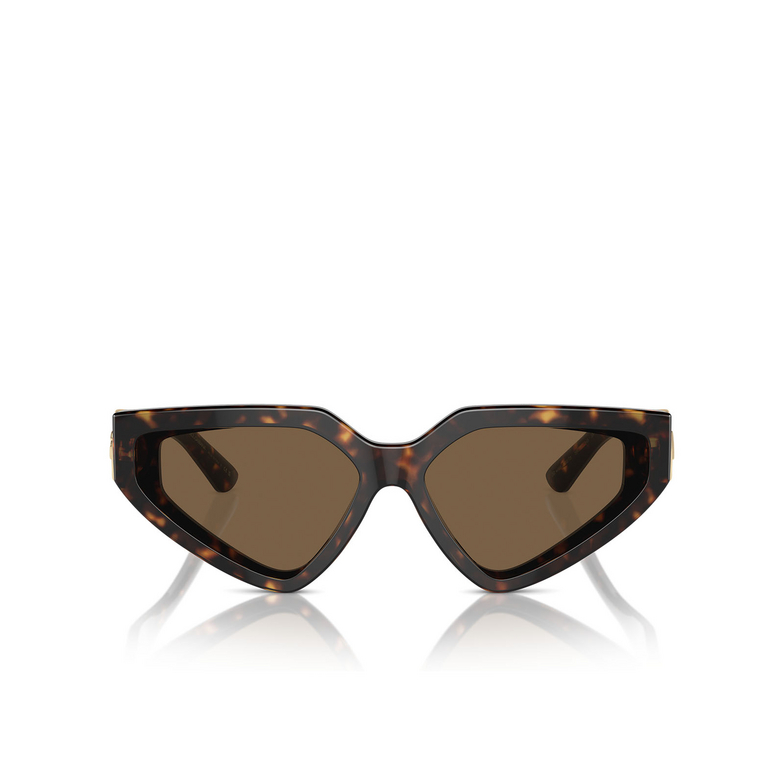 Gafas de sol Dolce & Gabbana DG4469 502/73 havana - 1/4