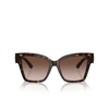 Gafas de sol Dolce & Gabbana DG4470 502/13 havana - Miniatura del producto 1/4