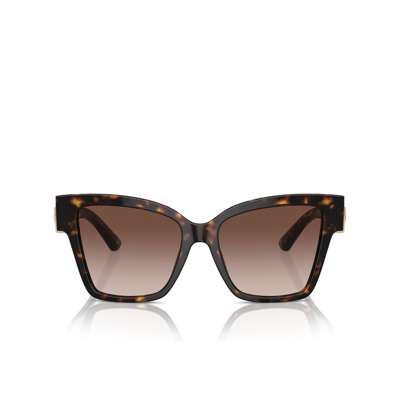 Gafas de sol Dolce & Gabbana DG4470 502/13 havana - 1/4