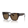 Dolce & Gabbana DG4471 Sunglasses 502/73 havana - product thumbnail 2/4