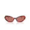 Lunettes de soleil Dolce & Gabbana DG4473 344469 havana brown - Vignette du produit 1/4