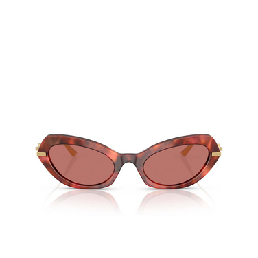 Occhiali da sole Dolce & Gabbana DG4473 344469 havana brown - frontale