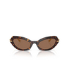 Lunettes de soleil Dolce & Gabbana DG4473 502/73 havana - Vignette du produit 1/4