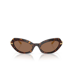 Lunettes de soleil Dolce & Gabbana DG4473 502/73 havana