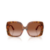 Dolce & Gabbana DG4475 Sunglasses 338013 havana leo - product thumbnail 1/4