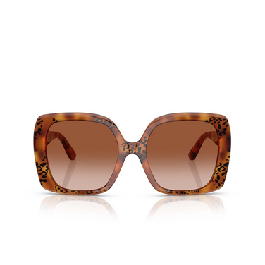 Lunettes de soleil Dolce & Gabbana DG4475 338013 havana leo - Vue de face