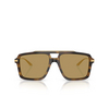 Dolce & Gabbana DG4477 Sunglasses 344673 striped ochre - product thumbnail 1/4