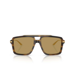 Gafas de sol Dolce & Gabbana DG4477 344673 striped ochre