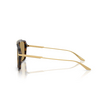 Dolce & Gabbana DG4477 Sunglasses 344673 striped ochre - product thumbnail 3/4