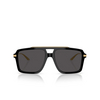 Dolce & Gabbana DG4477 Sunglasses 501/87 black - product thumbnail 1/4