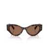 Dolce & Gabbana DG4480 Sunglasses 502/73 havana - product thumbnail 1/4