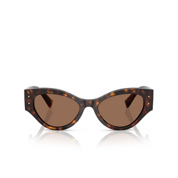 Lunettes de soleil Dolce & Gabbana DG4480 502/73 havana