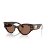 Lunettes de soleil Dolce & Gabbana DG4480 502/73 havana - Vignette du produit 2/4