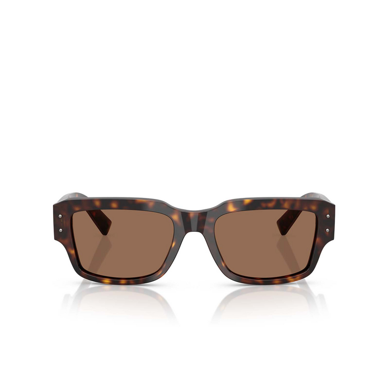 Gafas de sol Dolce & Gabbana DG4483 502/73 havana - 1/4