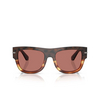 Dolce & Gabbana DG4484 Sunglasses 3438M6 havana warm brown - product thumbnail 1/4