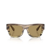 Gafas de sol Dolce & Gabbana DG4484 3439/2 havana green - Miniatura del producto 1/4