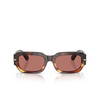 Dolce & Gabbana DG4485 Sunglasses 3438M6 havana warm brown - product thumbnail 1/4