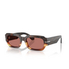 Dolce & Gabbana DG4485 Sunglasses 3438M6 havana warm brown - product thumbnail 2/4