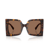 Gafas de sol Dolce & Gabbana DG4490 502/73 havana - Miniatura del producto 1/4