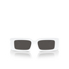 Dolce & Gabbana DG6197 Sunglasses 331287 white - product thumbnail 1/4