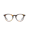 Lunettes de vue D.STYLE LAB 7741 C2 - Vignette du produit 1/4