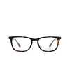 Lunettes de vue D.STYLE LAB 8962 C2 - Vignette du produit 1/4