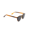 Gafas graduadas D.STYLE LAB DA2226 C3 - Miniatura del producto 4/6