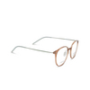 D.STYLE LAB DS23010 Eyeglasses C4 - product thumbnail 2/4