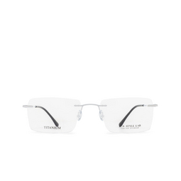 D.STYLE LAB DS24025 Eyeglasses C2