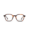 Lunettes de vue D.STYLE LAB DS24077 C3 - Vignette du produit 1/4