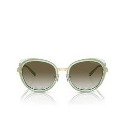 Emporio Armani EA2146 Sunglasses 33638E shiny pale gold