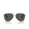 Occhiali da sole Emporio Armani EA2149D 337187 matte pale gold - anteprima prodotto 1/3