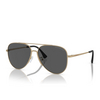 Gafas de sol Emporio Armani EA2149D 337187 matte pale gold - Miniatura del producto 2/3