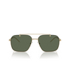 Lunettes de soleil Emporio Armani EA2150 301371 shiny pale gold - Vignette du produit 1/3