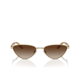 Occhiali da sole Emporio Armani EA2153 301313 shiny pale gold