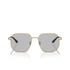 Lunettes de soleil Emporio Armani EA2154D 300287 matte pale gold - Vignette du produit 1/3