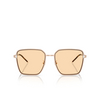 Emporio Armani EA2159D Sunglasses 3011/7 shiny rose gold - product thumbnail 1/3