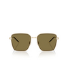 Emporio Armani EA2159D Sunglasses 301373 shiny pale gold - product thumbnail 1/3