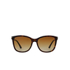 Gafas de sol Emporio Armani EA4060 5026T5 shiny havana - Miniatura del producto 1/3