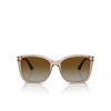 Occhiali da sole Emporio Armani EA4060 5850T5 transparent tundra - anteprima prodotto 1/3