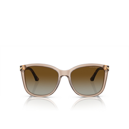 Lunettes de soleil Emporio Armani EA4060 5850T5 transparent tundra