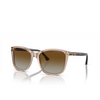 Occhiali da sole Emporio Armani EA4060 5850T5 transparent tundra - anteprima prodotto 2/3