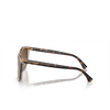 Lunettes de soleil Emporio Armani EA4060 5850T5 transparent tundra - Vignette du produit 3/3